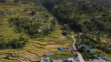 Wunderschöne-Reislandschaft-Von-Nepal