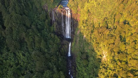 Panoramic-Aerial-View-Of-Wairere-Falls-Surrounded-By-Dense-Foliage-Trees-In-North-Island,-New-Zealand