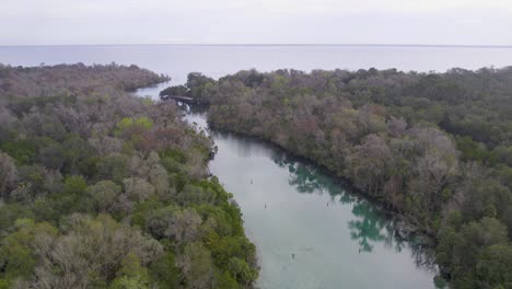 Luftaufnahme-Der-Natürlichen-Quellen-Von-Silver-Glen-Springs-In-Florida