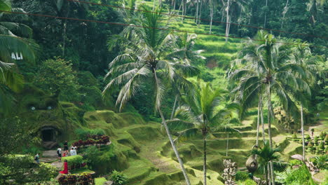 Tourists-At-Gorilla-Face-Cave-In-Alas-Harum-Bali,-Tegallalang,-Bali,-Indonesia