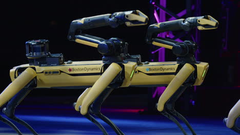 Robots-by-Boston-Robotics-synchronize-dance-on-Calgary-Stampede-stage