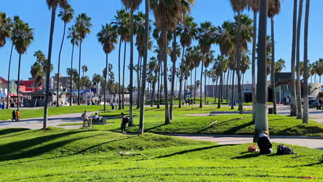 A-green-park-with-palm-trees-on-the-Venice-Beach-with-people-passing-by-in-slow-motion,-static-and-copy-space,-very-colorful