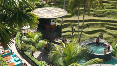 Travelers-Enjoy-Vacation-By-the-Pools-With-Tropical-Picturesque-View-on-Terraced-Fields-in-Luxurious-Jungle-Day-Club-at-Alas-Harum-Bali-Lounge---Top-Down-Panning-View