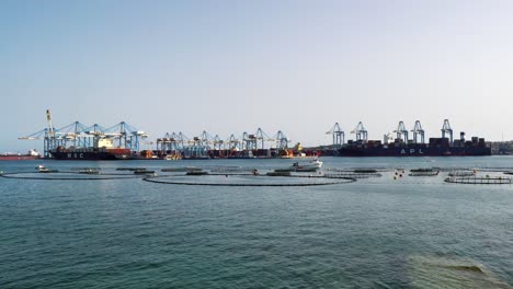 Thunfischfarm-Mit-Dem-Freihafen-Von-Malta-Im-Hintergrund-Mit-Angedockten-Containerschiffen,-Die-Von-Industriekränen-In-Birzebbuga-Beladen-Werden