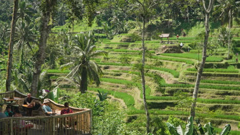 People-Relaxing-In-Tropical-Cafe-Terrace-with-Scenic-View-on-Balinese-Traditional-Paddy-Rice-Fields-Vale-In-Ubud,-Bali,-Indonesia