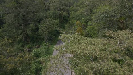 Car-follow-up-on-rural-paved-road-surrounded-by-forest,-aerial-drone-in-Bernal-Mexico