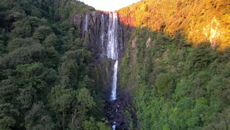 Famous-Wairere-Falls-Tallest-Cascades-On-Waikato,-Okauia-In-The-North-Island,-New-Zealand