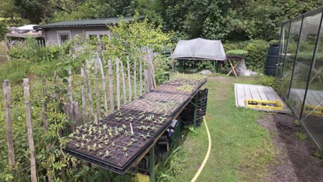 Utilizing-Seedling-Trays-to-Boost-Germination-Rates-in-Urban-Community-Gardens-in-Leiden,-South-Holland,-Netherlands---High-Angle-Shot