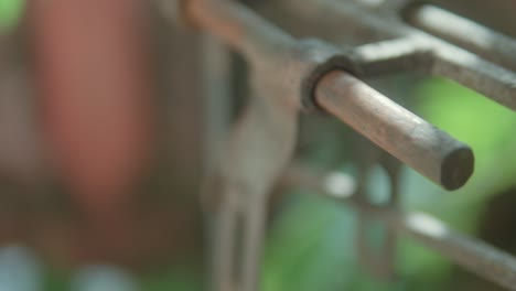 Close-up-of-a-rusty-shopping-cart-outdoors-with-greenery-in-the-background