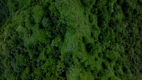 Towering-mountains-peaks-jungle-valley-Teahupoo-Tahiti-b-irdseye-view-aerial-drone-French-Polynesia-South-Pacific-island-volcanos-coast-morning-sunrise-WSL-surfing-Olympic-venue-forward