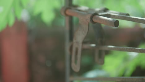 Rusty-metal-clamp-on-a-blurred-background-of-green-foliage