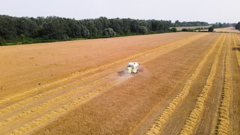 Landwirtschaft,-Mähdrescher-Erntet-Getreide-Auf-Einem-Feld