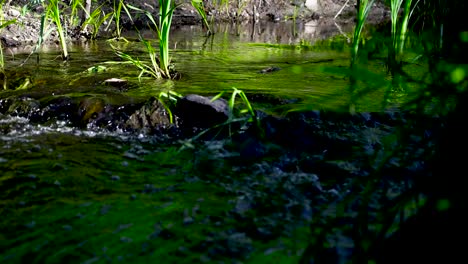 Moving-footage-from-left-to-right-of-a-river-and-a-rural-water-stream-flowing-with-white-water-showing-during-the-daylight-and-day-time-in-4K