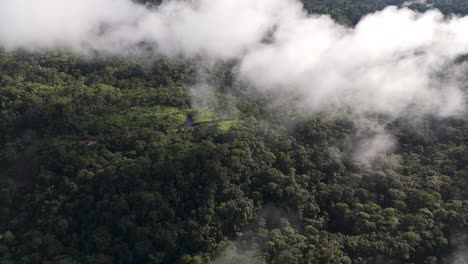 Aerial-views-of-clouds-over-trees,-a-sunrise-above-the-clouds-in-morning