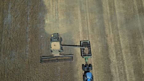 4K60-Drone-footage-of-combine-harvester-and-truck-harvesting-on-wheat-field