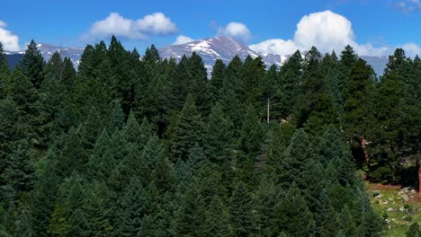 Spring-Summer-Mount-Blue-Sky-Evans-aerial-drone-parallax-Conifer-Evergreen-Colorado-snowmelt-sunny-morning-Rocky-Mountains-landscape-North-Turkey-Creek-Marshdale-Forest-Open-Space-upwards-reveal