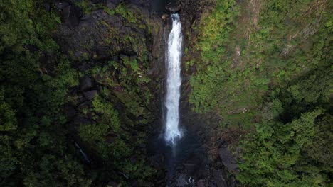 Impresionantes-Cascadas-Altas-De-Wairere-Caen-Sobre-La-Escarpa-De-Kaimai-En-La-Isla-Norte,-Nueva-Zelanda