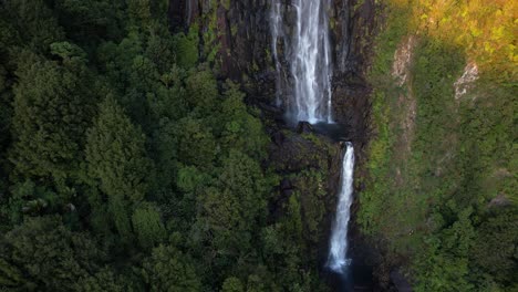 Cataratas-Wairere-Que-Fluyen-Sobre-Las-Cordilleras-Kaimai-En-Waikato,-Kauaia,-Isla-Del-Norte,-Nueva-Zelanda