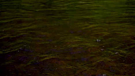 Footage-of-moving-brown-water-during-the-day-time-and-summer-flowing-in-4K-during-the-daytime-when-sun-is-shining