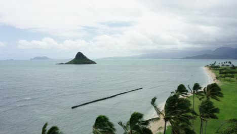 Wind-blowing-through-palm-trees,-a-storm-brewing-in-Hawaii