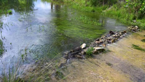 Static-video-of-the-Medina-River-in-the-town-of-Medina-Texas