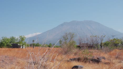 The-dry-savanna-on-a-sunny-day-with-the-view-on-a-volcano-in-the-background,-Indonesia,-Bali-with-copy-space