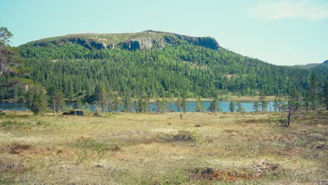 Forest-Mountain-Lake-Seen-On-Hiking-Trails