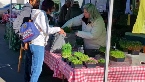 A-woman-is-buying-plants-from-a-gardening-shop,-puts-plants-in-a-bag-to-carry-them-safe-on-a-sunny-day-in-New-Zealand,-slow-motion