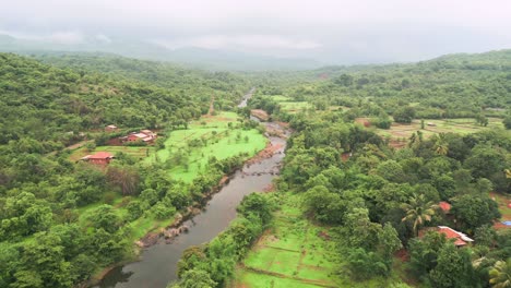 Pequeño-Canal-En-El-Bosque-Vista-De-Pájaro-180d