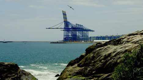 Vizhinjam-International-Seaport,-India-welcomed-its-first-cargo-ship-at-the-newly-built-trans-shipment-port-in-Vizhinjam,-Kerala