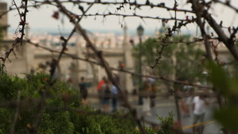 Parcialmente-Oculto-Por-La-Vegetación,-Visitas-Turísticas,-Monumentos-De-La-Ciudad