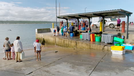 Reisende-Beobachten-Fischhändler-Bei-Der-Arbeit,-Die-Ihren-Fang-Im-Hafen-Von-Still-Bay-Reinigen