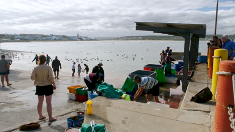 Los-Visitantes-Del-Puerto-De-Stilbaai-Observan-A-Los-Pescaderos-Destripar-Y-Limpiar-Con-Destreza-Sus-Capturas.