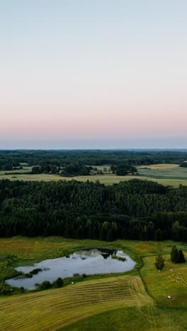 Vertical-Aerial-video-of-late-summer-evening-in-Countryside