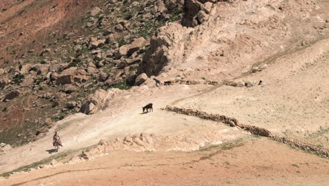 Pastor-En-Burro-Pastoreando-Ovejas-En-Las-Montañas-Del-Atlas