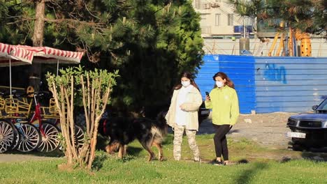 The-pedestrian-walking-area-in-Batumi,-Georgia,-where-people-stroll-along-sidewalks-and-a-dog-wanders,-embodies-the-concept-of-leisurely-free-time-activities-and-relaxation