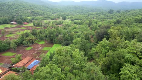 greenery-crop-field-in-hill-station-ddrone-view-in-konkan