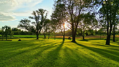 Comienzo-Esperanzador-De-Un-Nuevo-Día,-Amanecer-Comenzando-Con-La-Esperanza-De-Mejorar,-Caminata-Por-El-Bosque,-Naturaleza