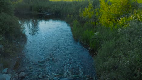 A-slowly-moving-footage-of-a-small-water-stream-in-Europe-baltics-located-in-Estonia-that-has-beautiful-blue-water-with-white-water-bubbles-in-it-filmed-during-the-summer-time-in-4K-and-sunset