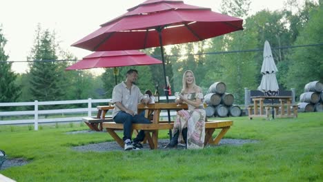 A-couple-and-their-dog-relaxing-and-playing-at-the-park