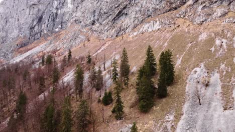 Austria-nature-mountain-landscape,-drone-flying-by-mountain-rocky-side,-Hinteres-Freieck