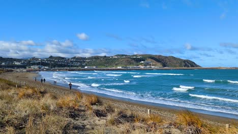 Malerische-Aussicht-Auf-Die-Küste-Von-Lyall-Bay-Mit-Menschen,-Die-Mit-Hunden-Am-Strand-Spazieren-Gehen,-Brandungswellen-Und-Dem-Flughafen-In-Der-Ferne-In-Wellington,-Neuseeland-Aotearoa