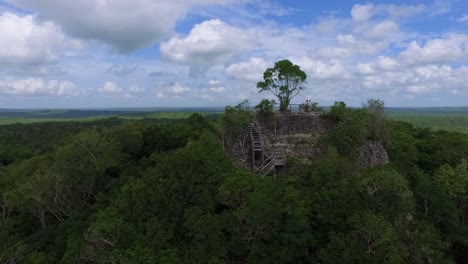 Explore-the-grandeur-of-La-Danta,-one-of-the-largest-pyramids-in-El-Mirador,-Petén,-as-seen-from-above,-nestled-in-the-lush-Guatemalan-jungle