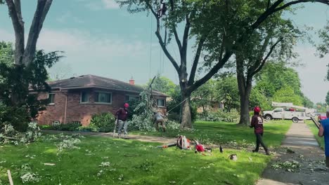 A-4K-static-shot-of-workmen-sawing-up-fallen-tree-branches-and-clearing-after-a-Twister-in-Detroit