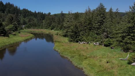 Ein-Bach,-Der-Im-Sommer-Durch-Den-Wald-Schlängelt