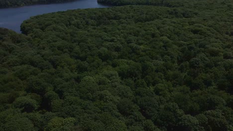 Broceliande-forest-in-Brittany,-France.-Aerial-tilt-down-forward