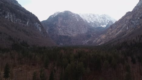 Austrian-forest-vallery-surrounded-by-high-mountains,-snowy-peaks-behind,-aerial