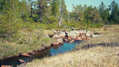 Forest-Stream-In-Indre-Fosen,-Norway---Wide-Shot