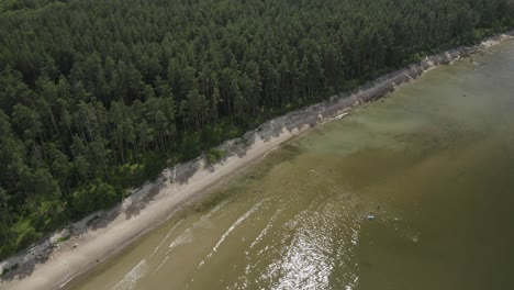 Drone-shot-of-the-seaside-and-beach-surrounded-by-dense-woods-on-a-sunny-day