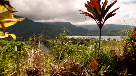 Monte-Hale-Naninoa-En-Un-Mirador-De-Kauai-En-Un-Día-Nublado